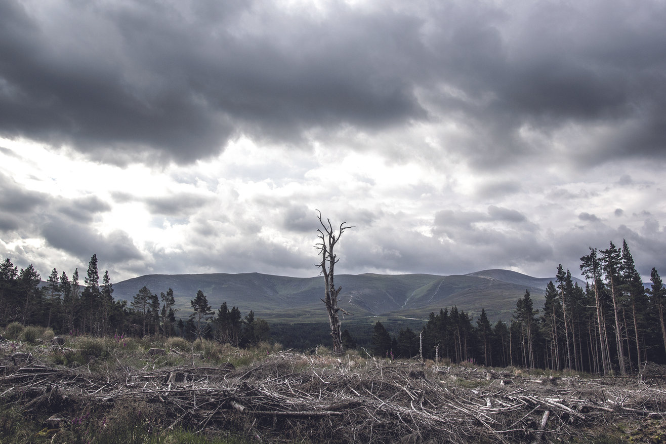 RÉUNION PUBLIQUE : E-CHO, LE PROJET INDUSTRIEL QUI MENACE LA FORÊT ET LE TERRITOIRE COMMINGEOIS. — visuel événement