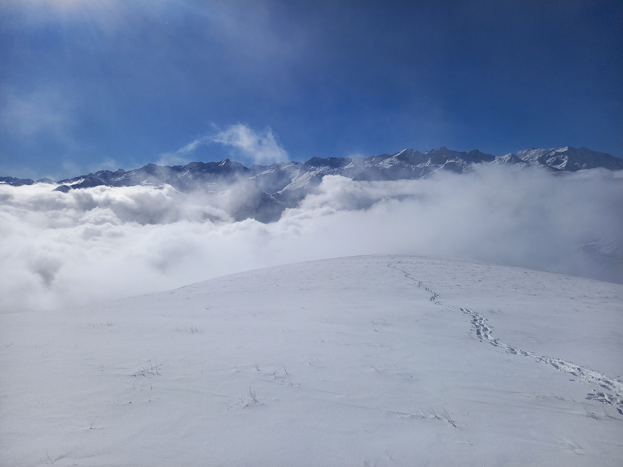 TOULOUSE MONTAGNE - ALEXANDRE BOURDEU
