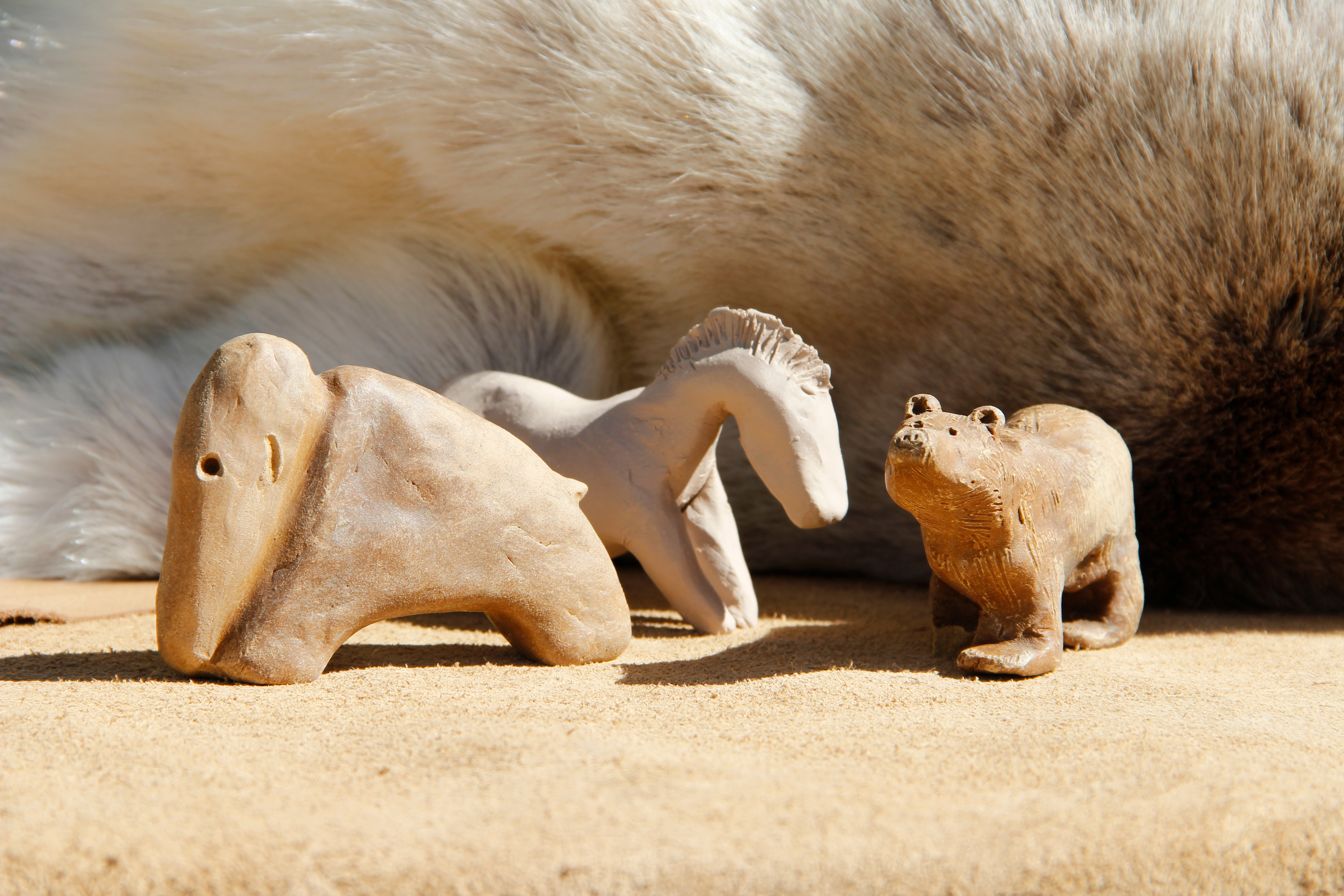 ATELIER ANIMAUX D'ARGILE