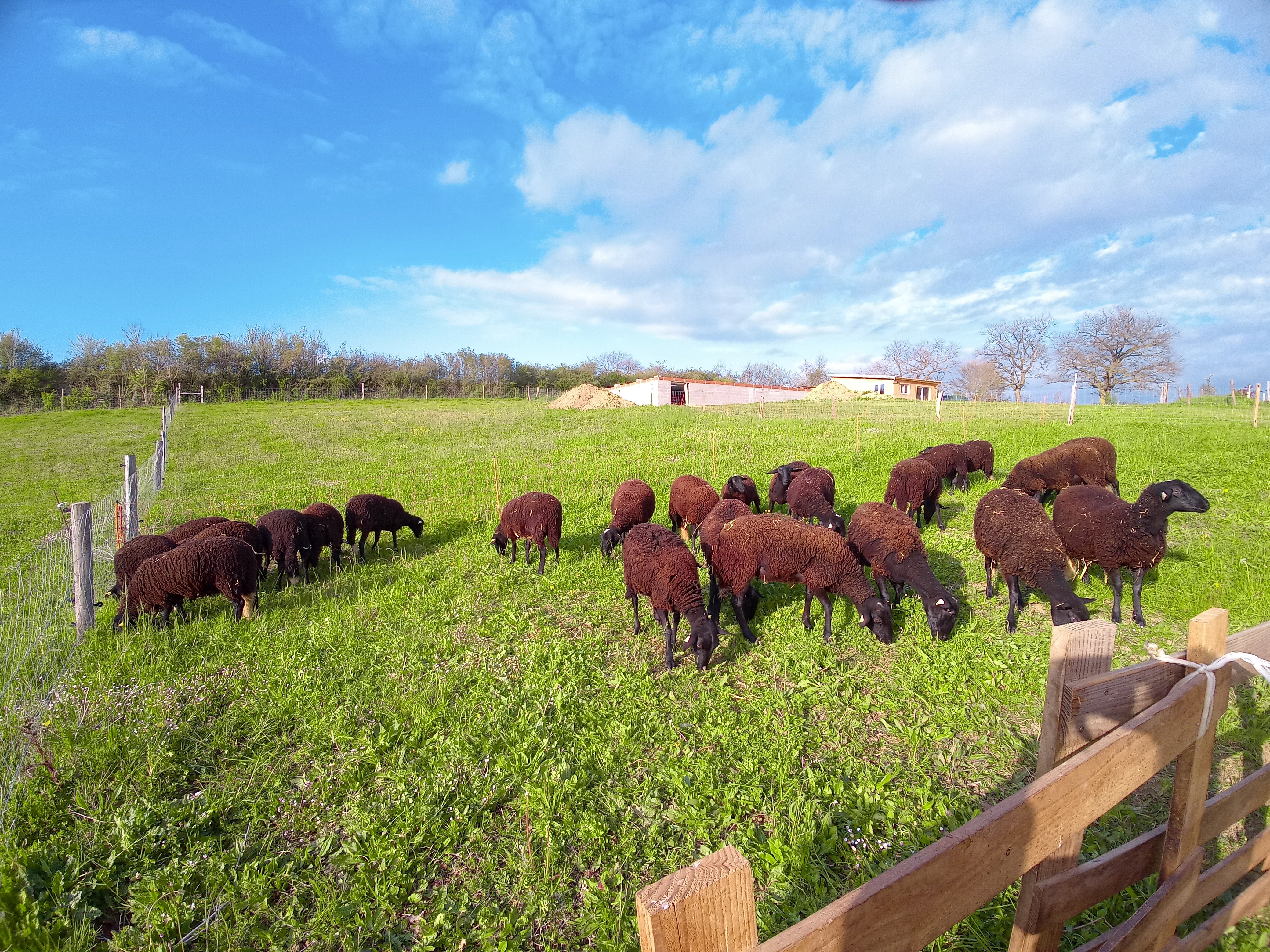 FERME DE MAILHO BLANC