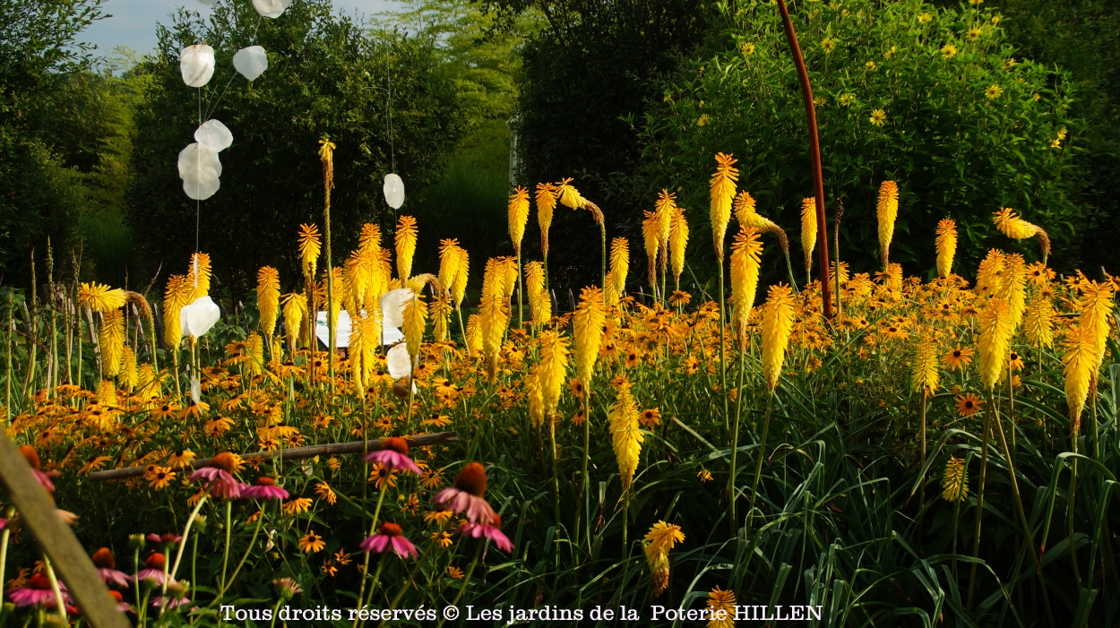 RENDEZ-VOUS AU JARDIN