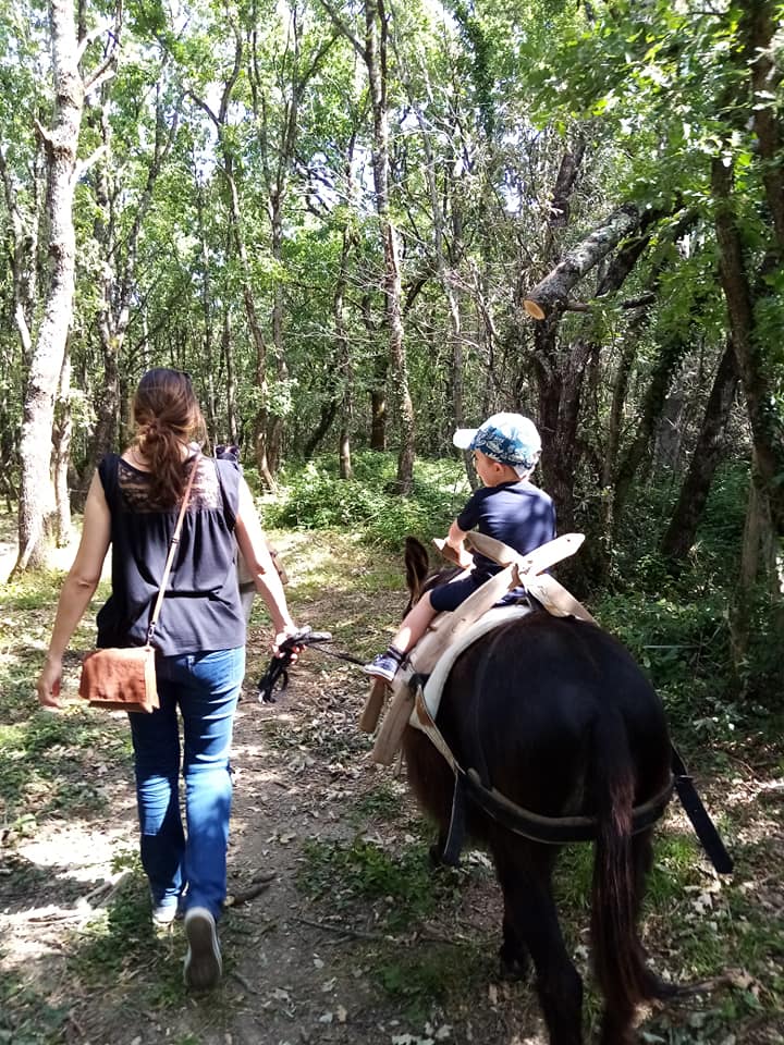 ASINERIE D’EN MANAOU, Thil - photo 9