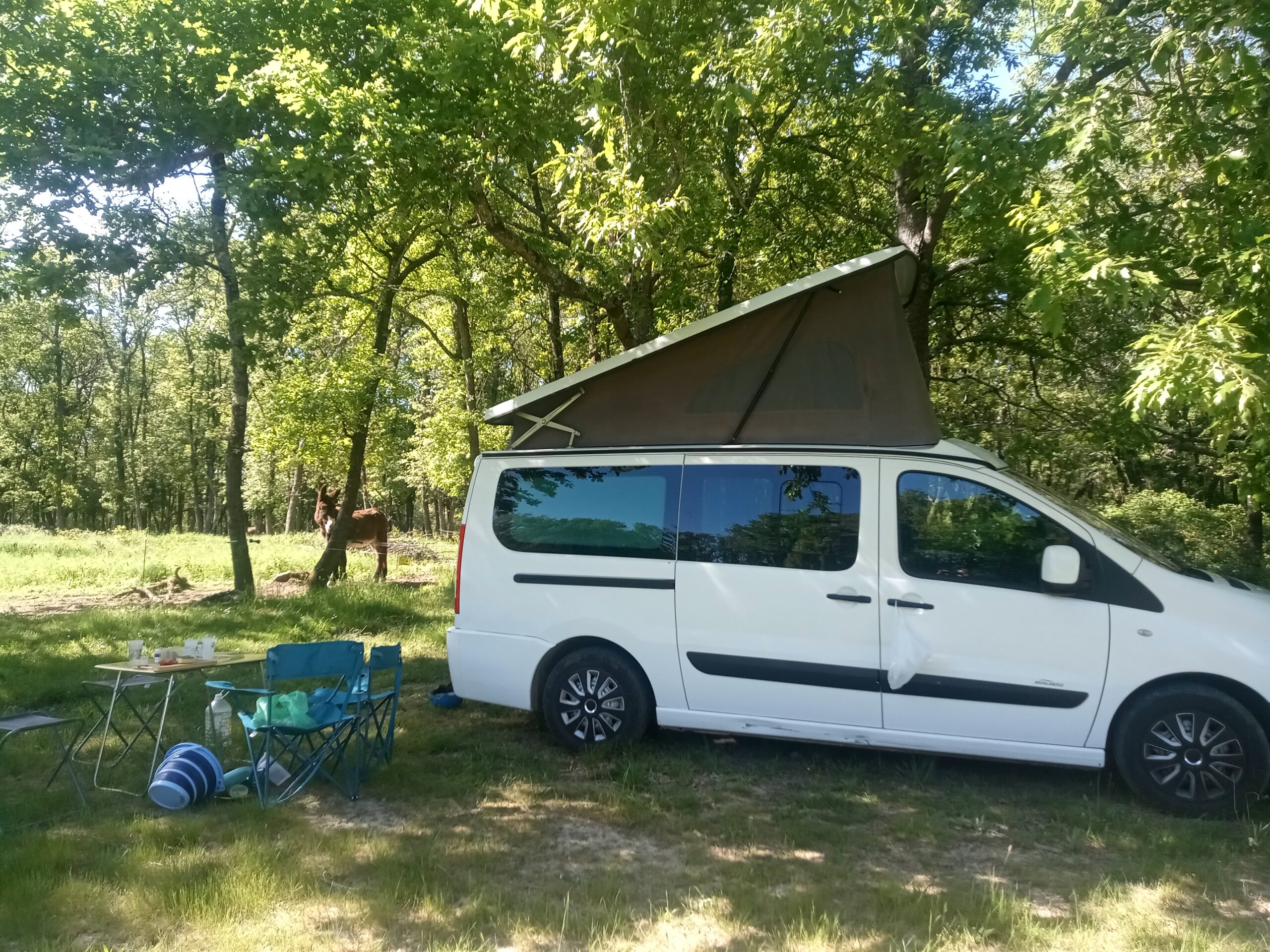 ASINERIE D’EN MANAOU, Thil - photo 8