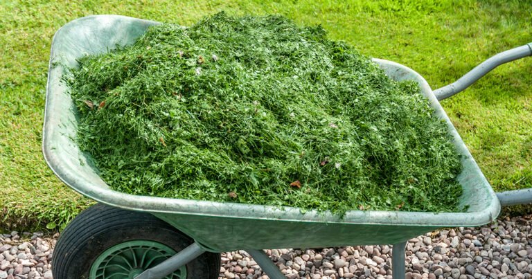 ATELIER "DES SOLUTIONS POUR RÉUTILISER FACILEMENT LES DÉCHETS DE JARDIN"