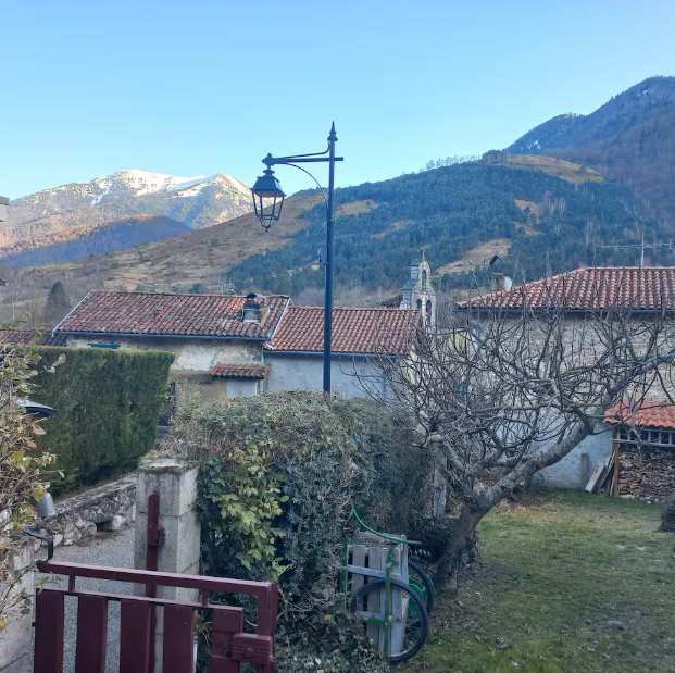 UN FIGUIER SOUS LE CAGIRE - photo 2