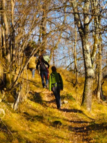 AU COEUR DU BOIS, Sédeilhac - photo 6