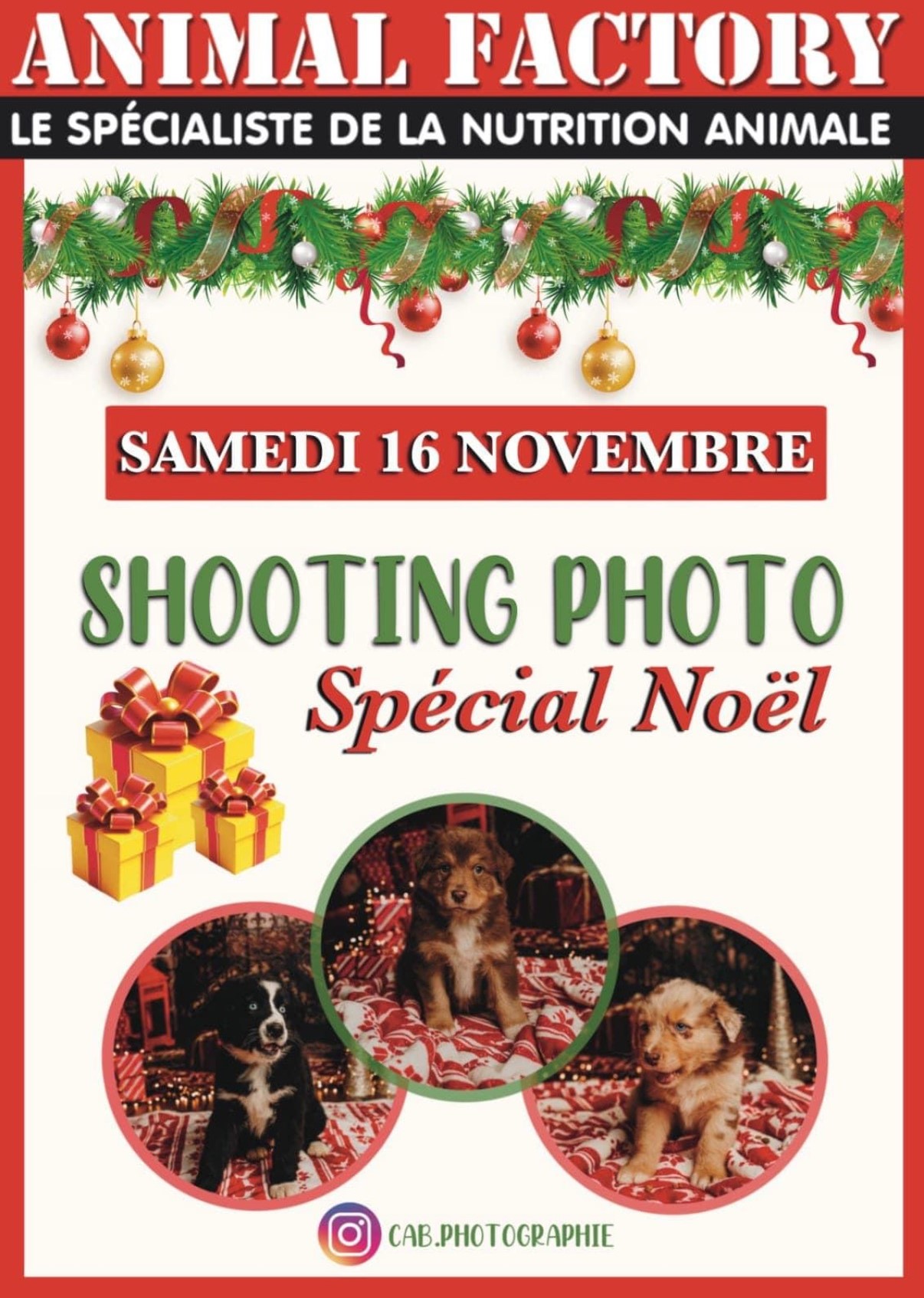 SHOOTING PHOTO SPÉCIAL NOËL (1/1)