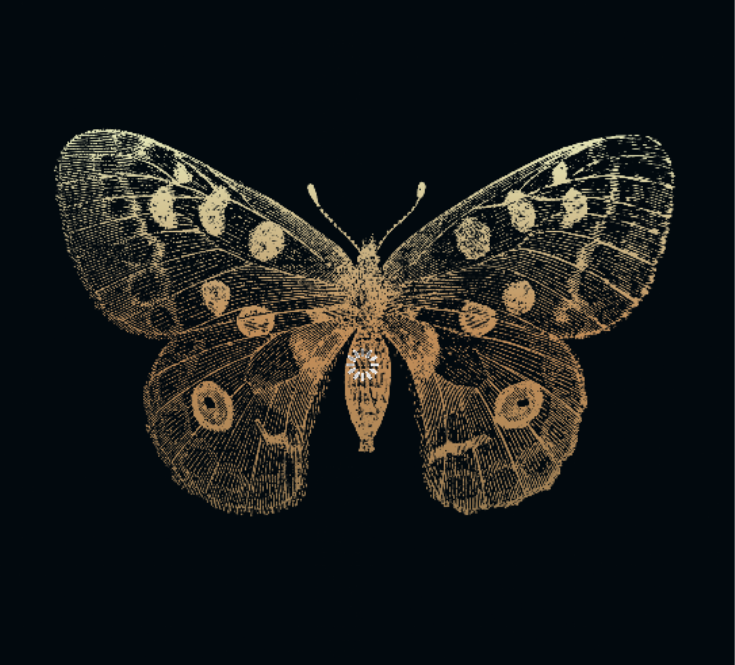 17 - 18 AVRIL - CONCERT OMASPHERE - CAZERES