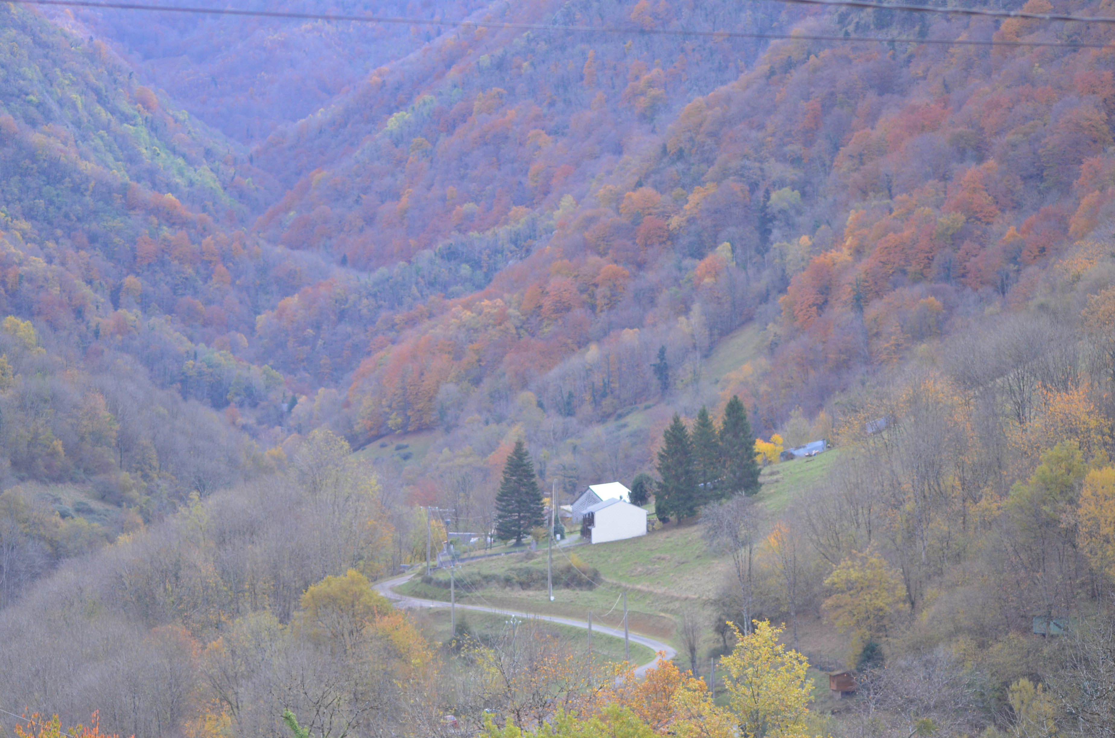LE GITE DU CERF, Sengouagnet - photo 15