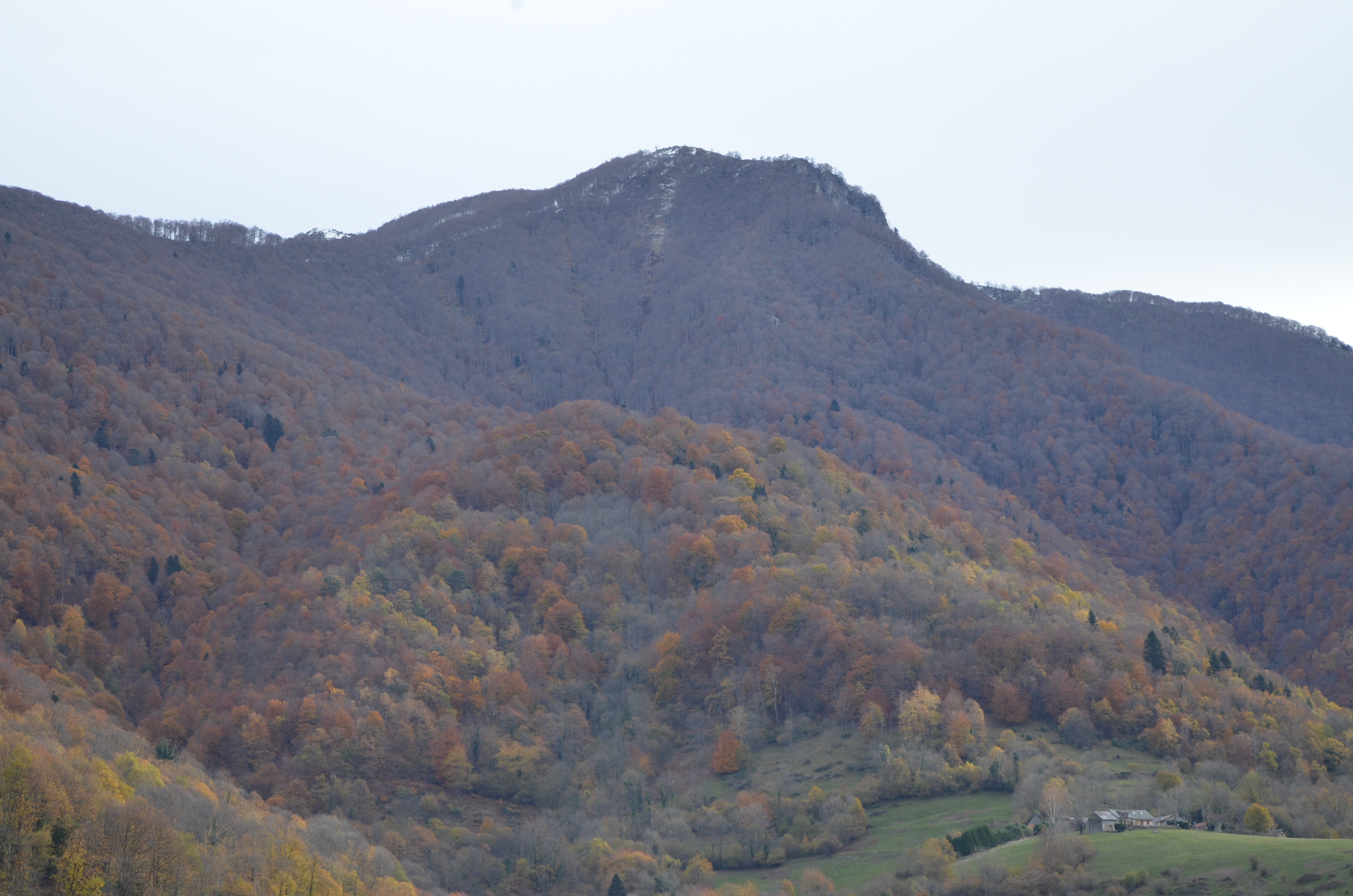 LE GITE DU CERF, Sengouagnet - photo 13