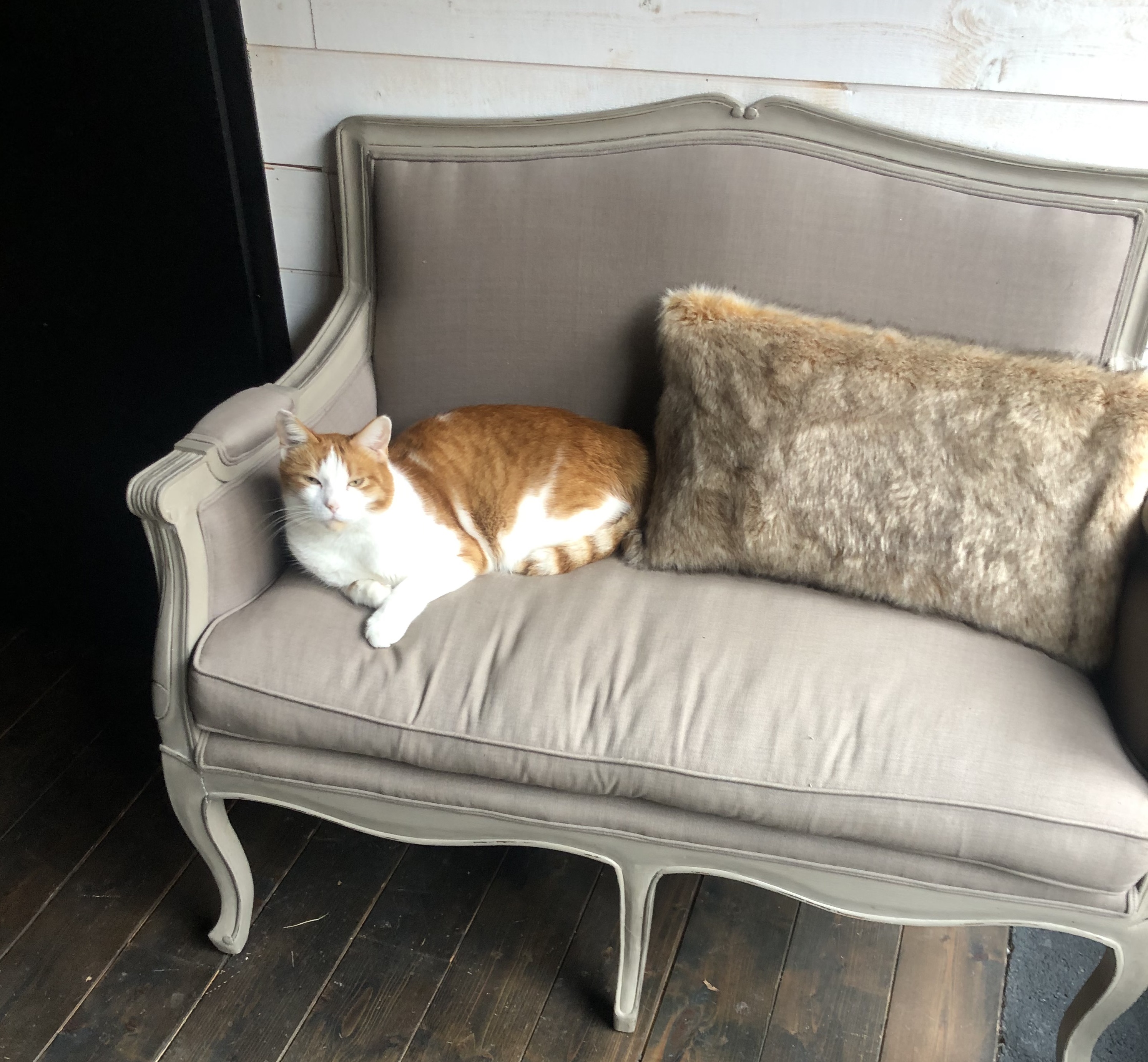 LE 25 BIS, Saint-Martory - photo 17