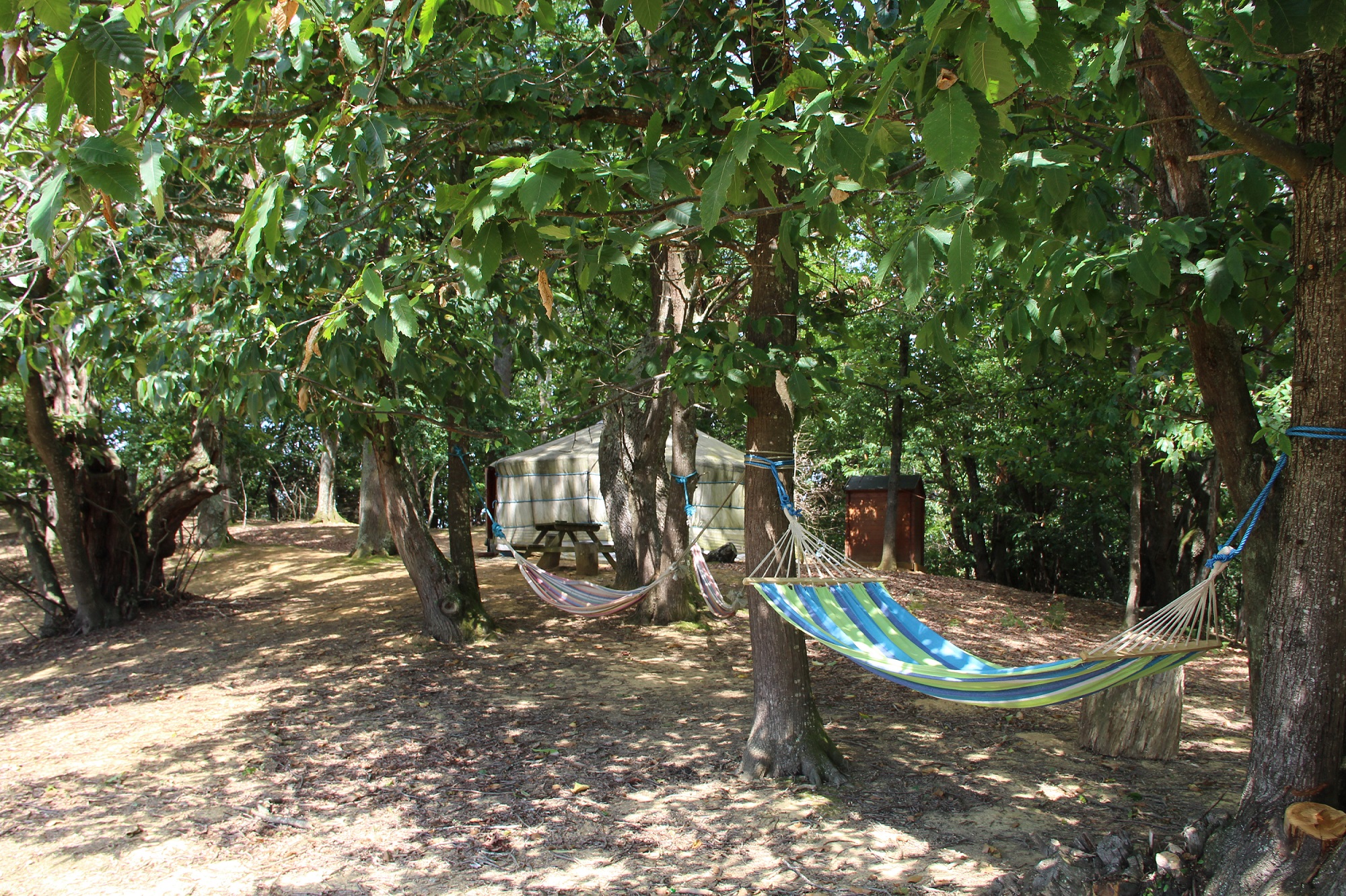 AU BOIS D'ESCOUMOS, Gensac-de-Boulogne - photo 2