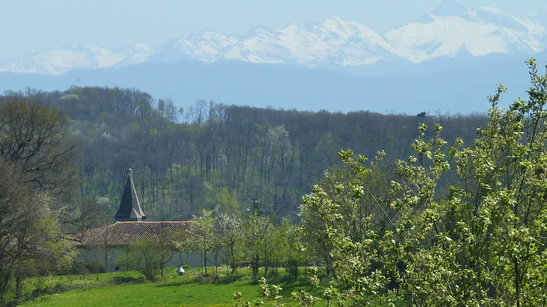 AU BOIS D'ESCOUMOS, Gensac-de-Boulogne - photo 4