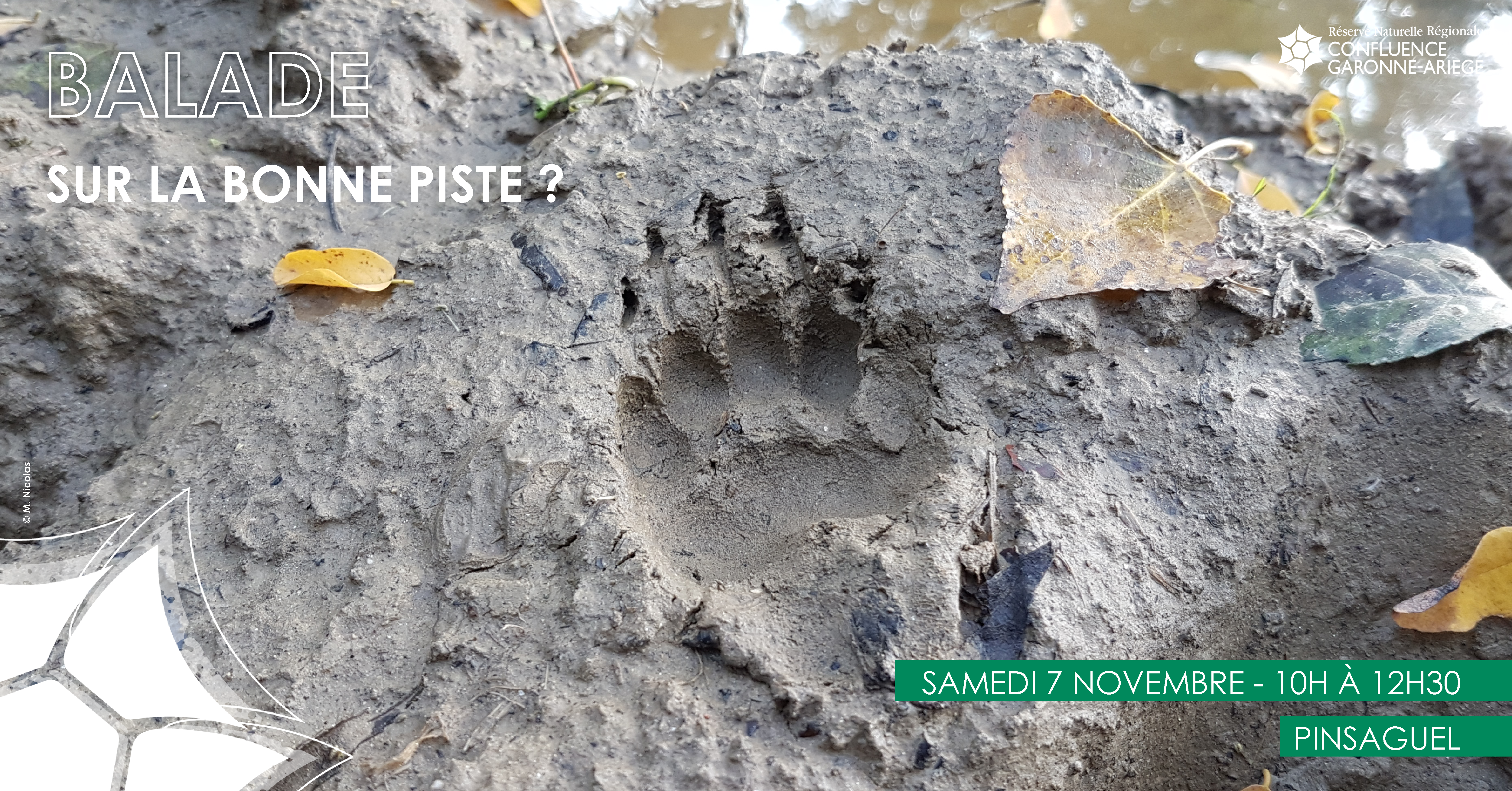 BALADE – SUR LA BONNE PISTE ?
