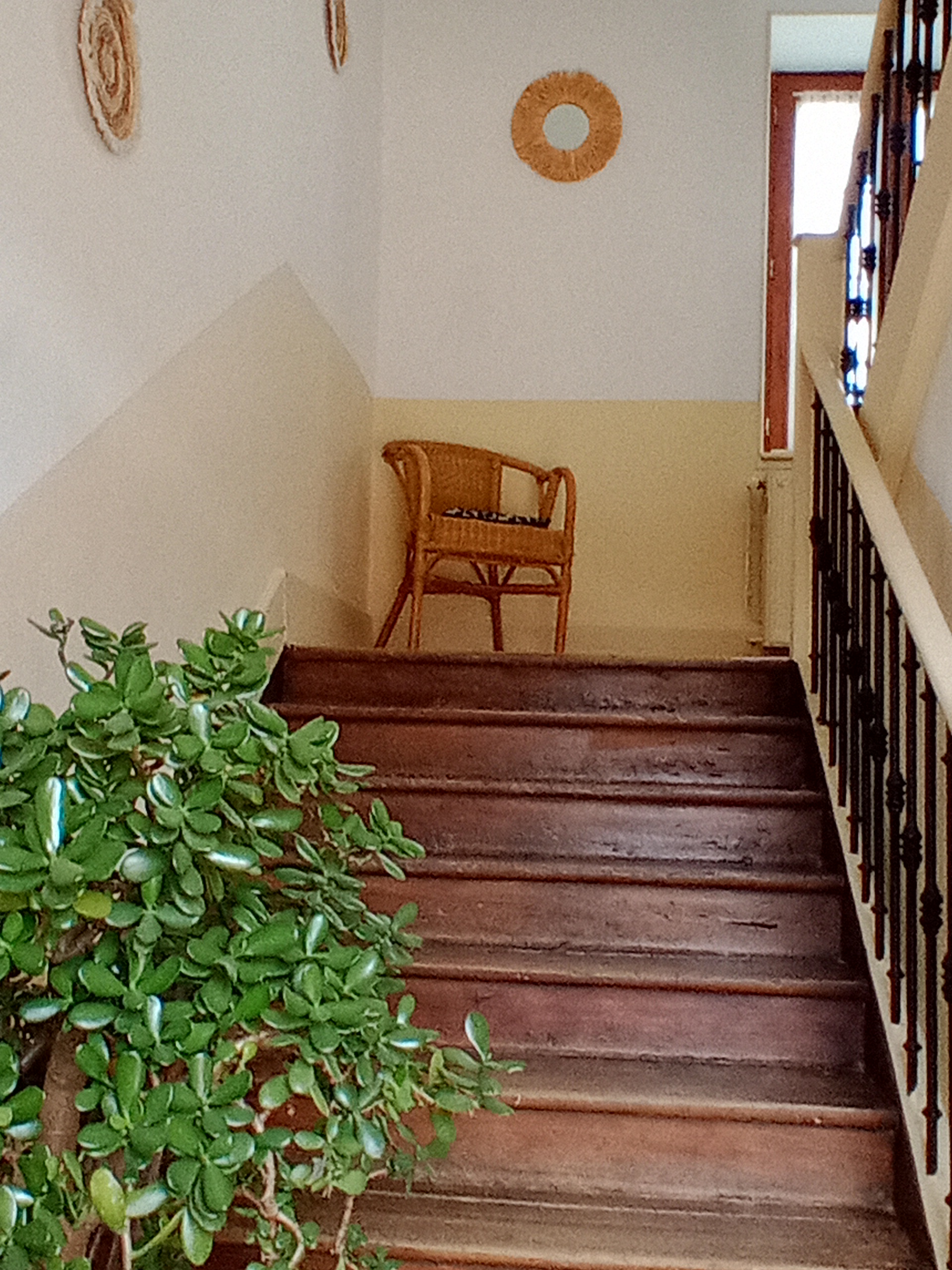 AU GRAND CEDRE, Miramont-de-Comminges - photo 18