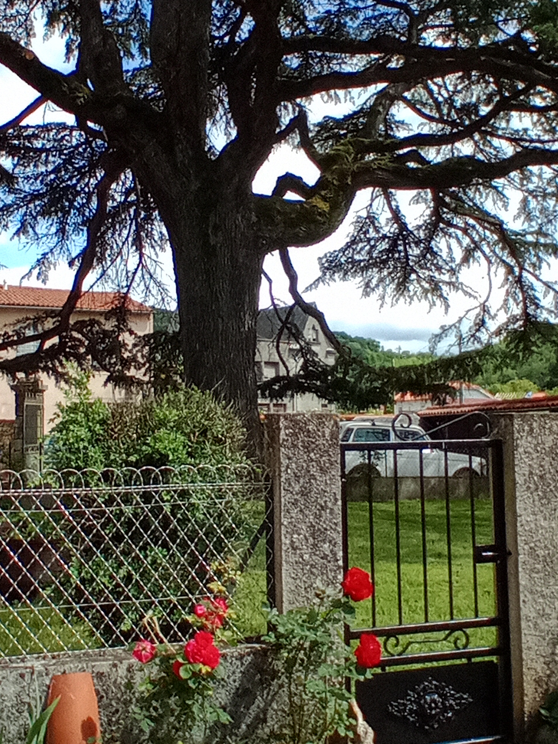 AU GRAND CEDRE, Miramont-de-Comminges - photo 21