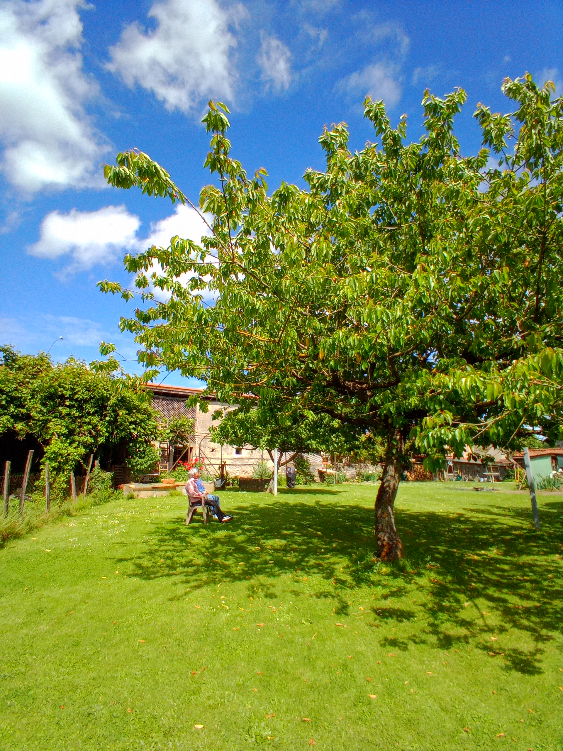 AU GRAND CEDRE, Miramont-de-Comminges - photo 24