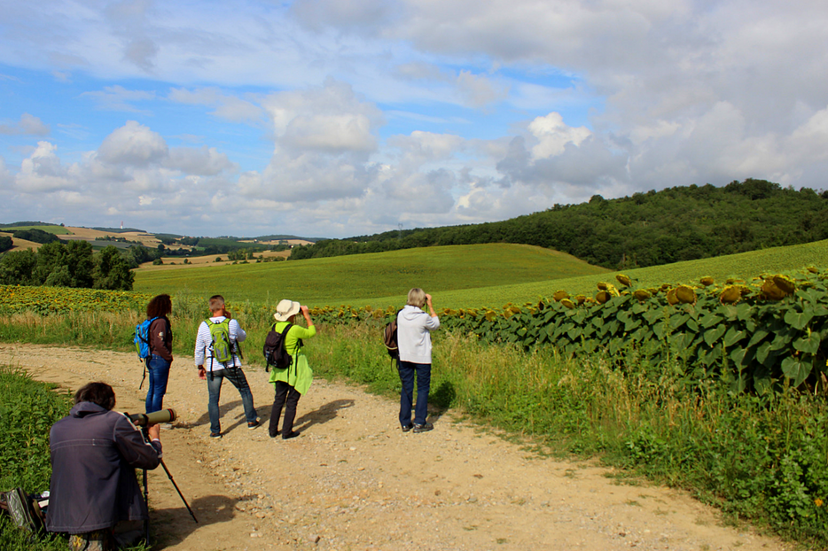 BALADE CHAMPÊTRE À BRETX