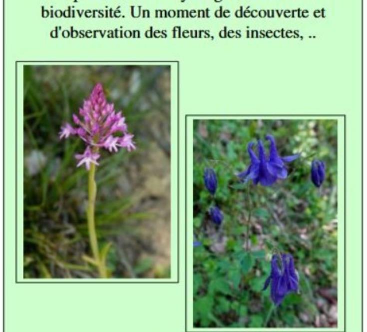 29 - AVRIL - sortie nature - cazeres