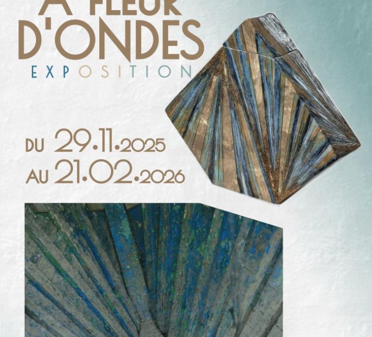 29 - NOV - 21 FEB - expo_mediatheque_Cazeres