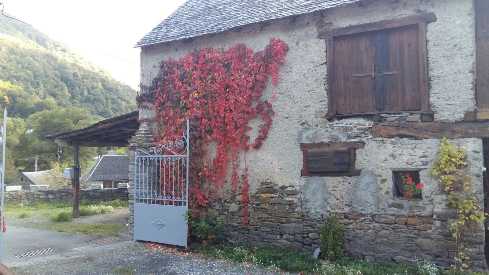 LES JONQUILLES, Cier-de-Luchon - photo 158