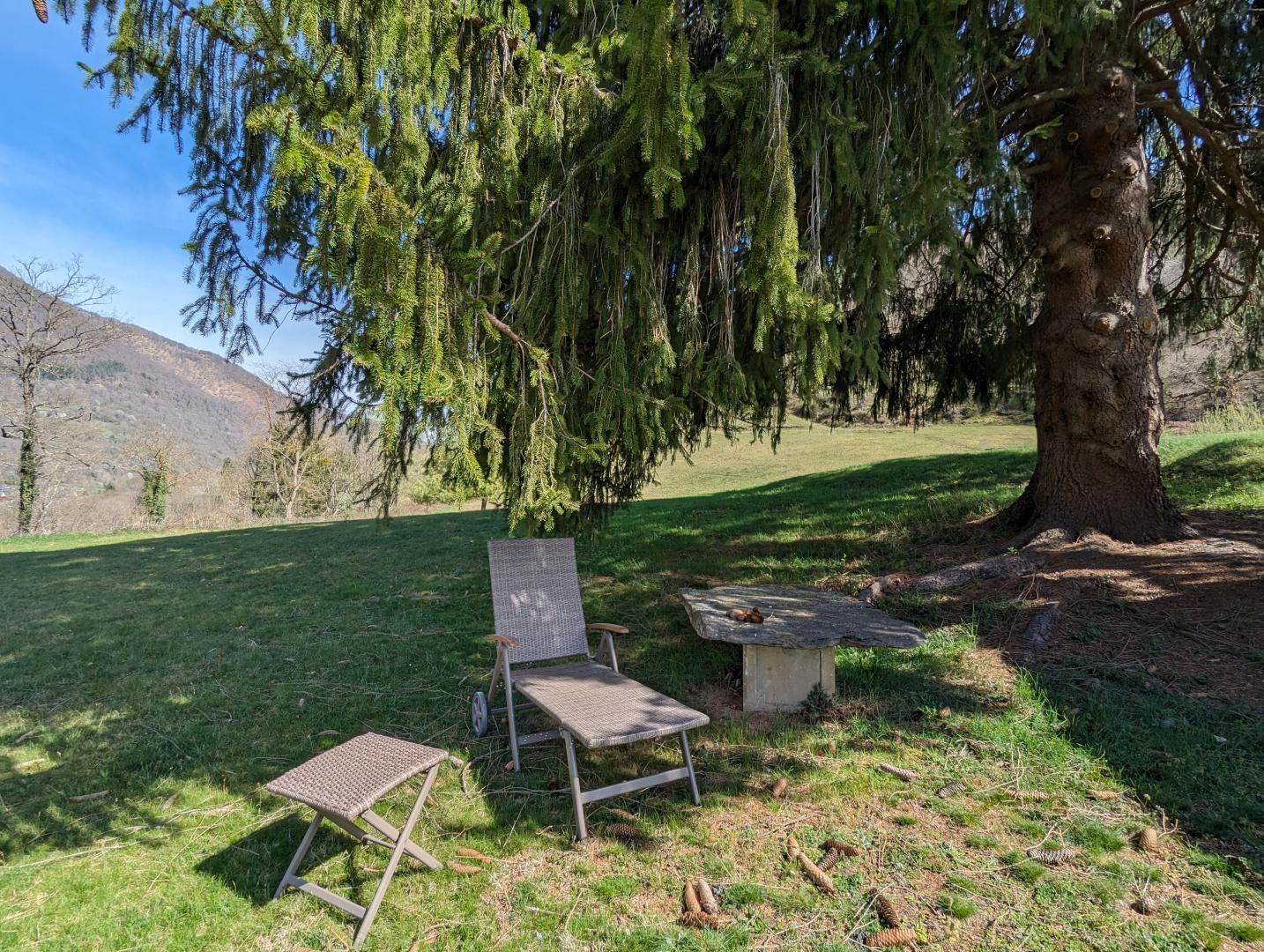 LES JONQUILLES, Cier-de-Luchon - photo 160