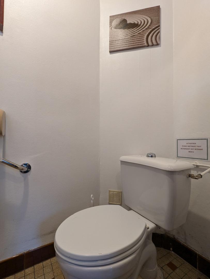 LES JONQUILLES - photo 4