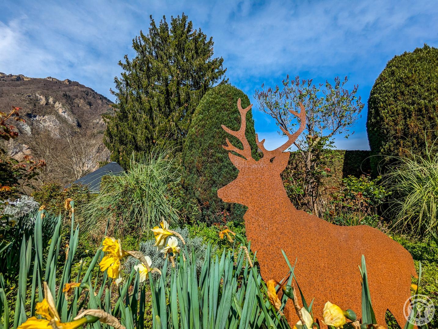 LES JONQUILLES - photo 5