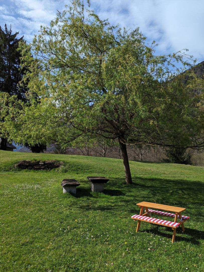 LES JONQUILLES, Cier-de-Luchon - photo 164