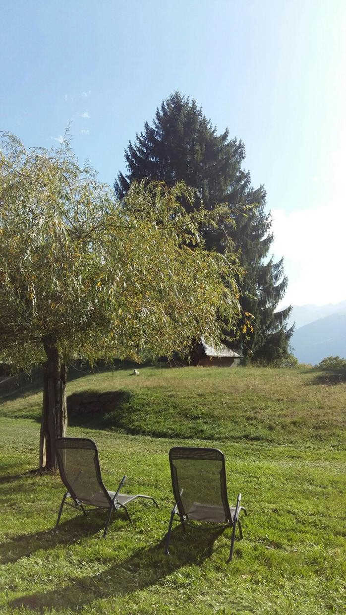 LES JONQUILLES, Cier-de-Luchon - photo 175