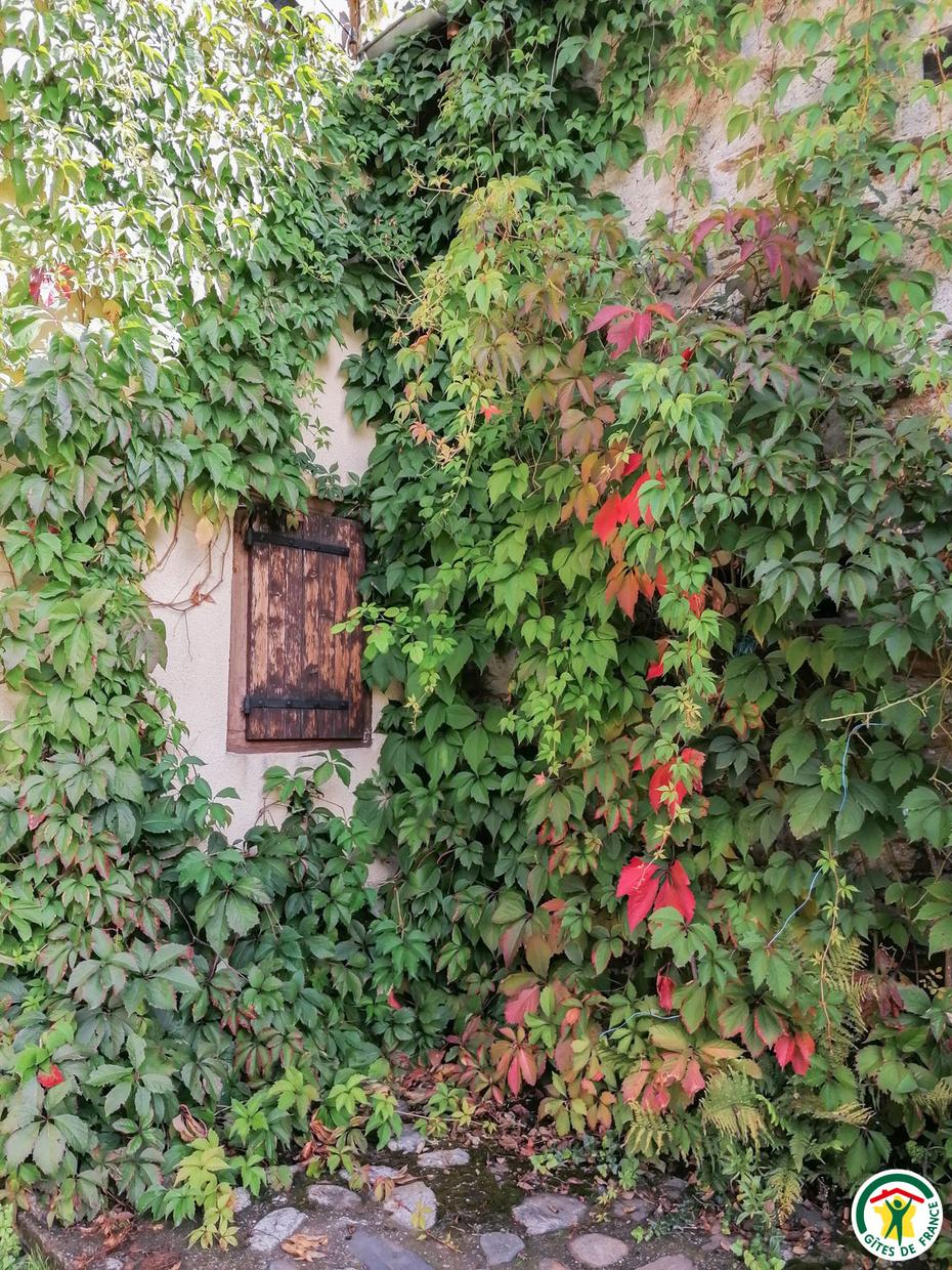 AU VILLAGE 2, Juzet-de-Luchon - photo 71