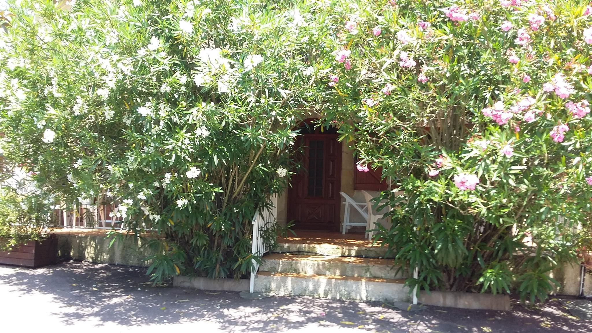 SENLÈBES, Ciadoux - photo 282