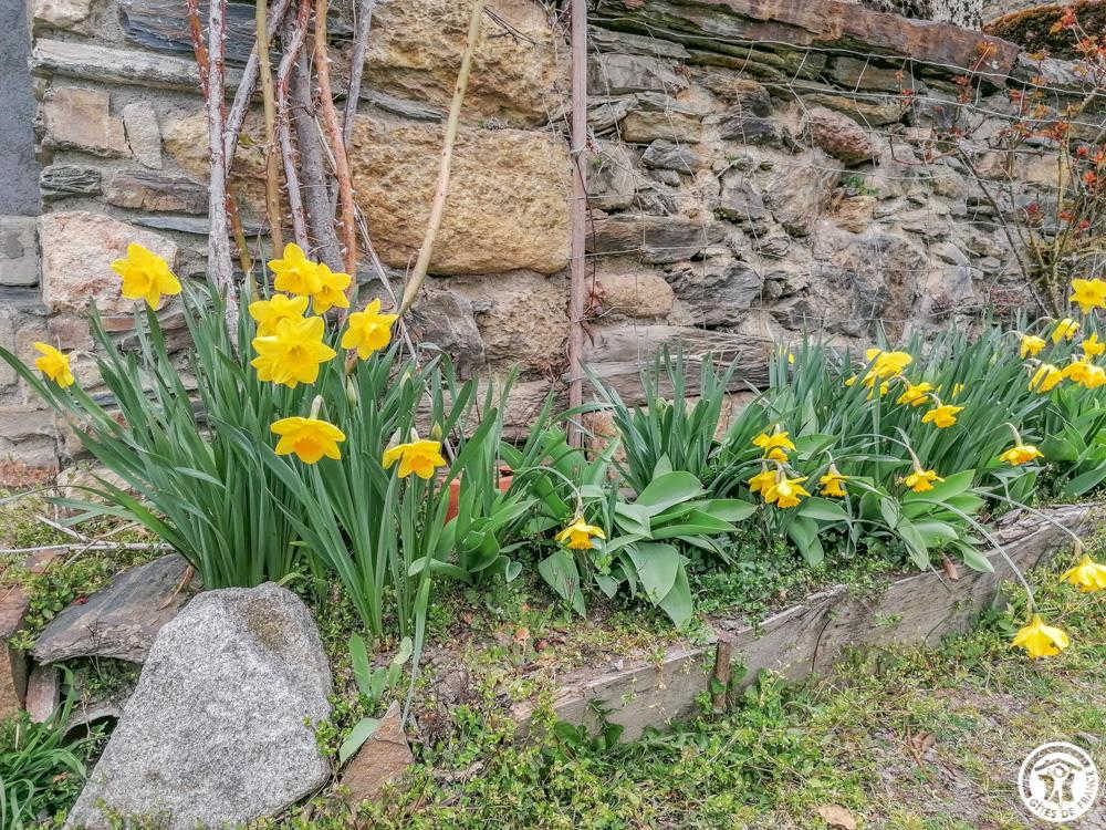 CHALET LARRITOU - photo 2