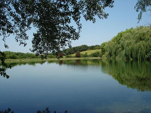 EN VAYSSIÈRES, Albiac - photo 124