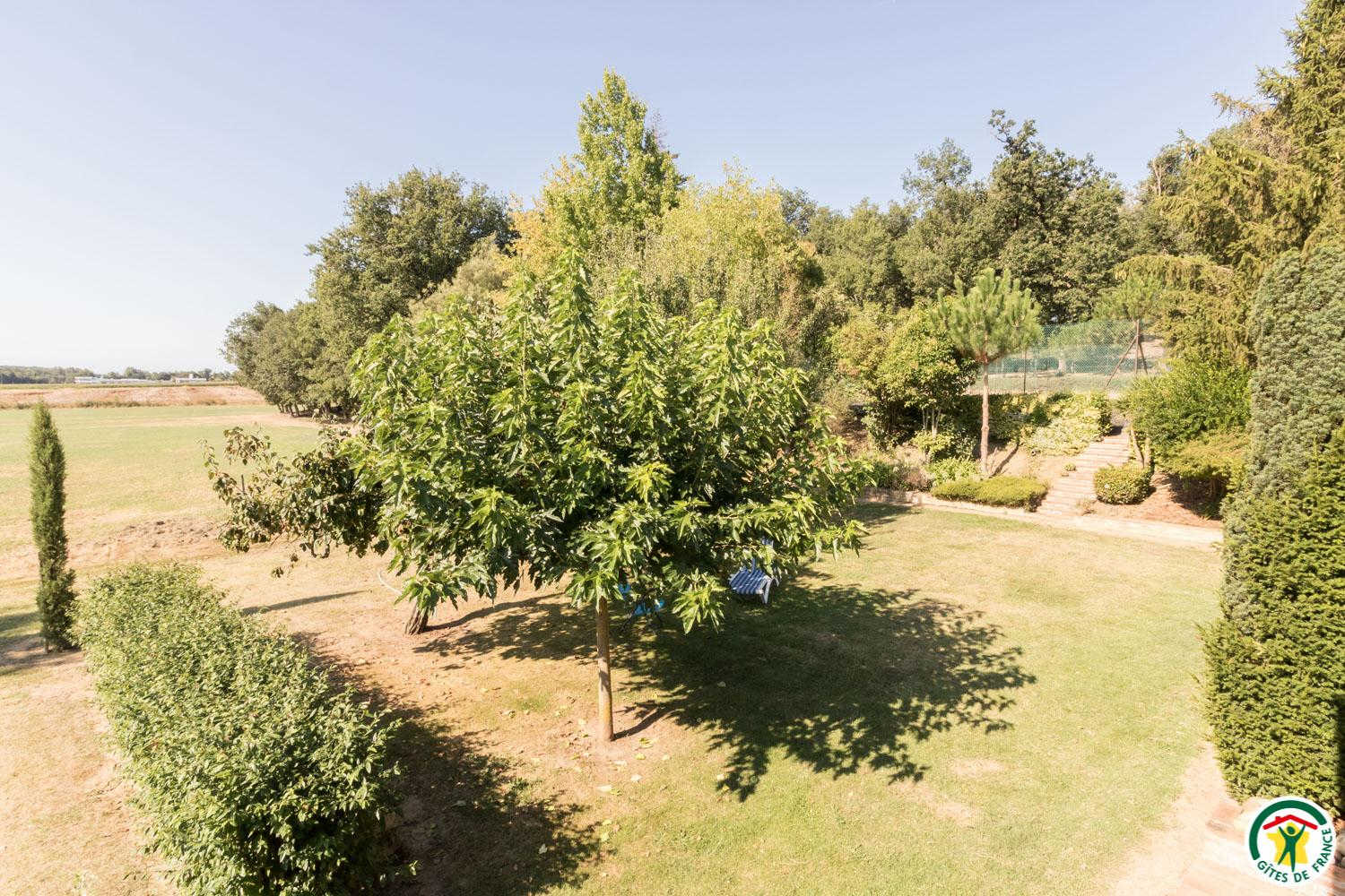 BORDE BASSE, Lherm - photo 403