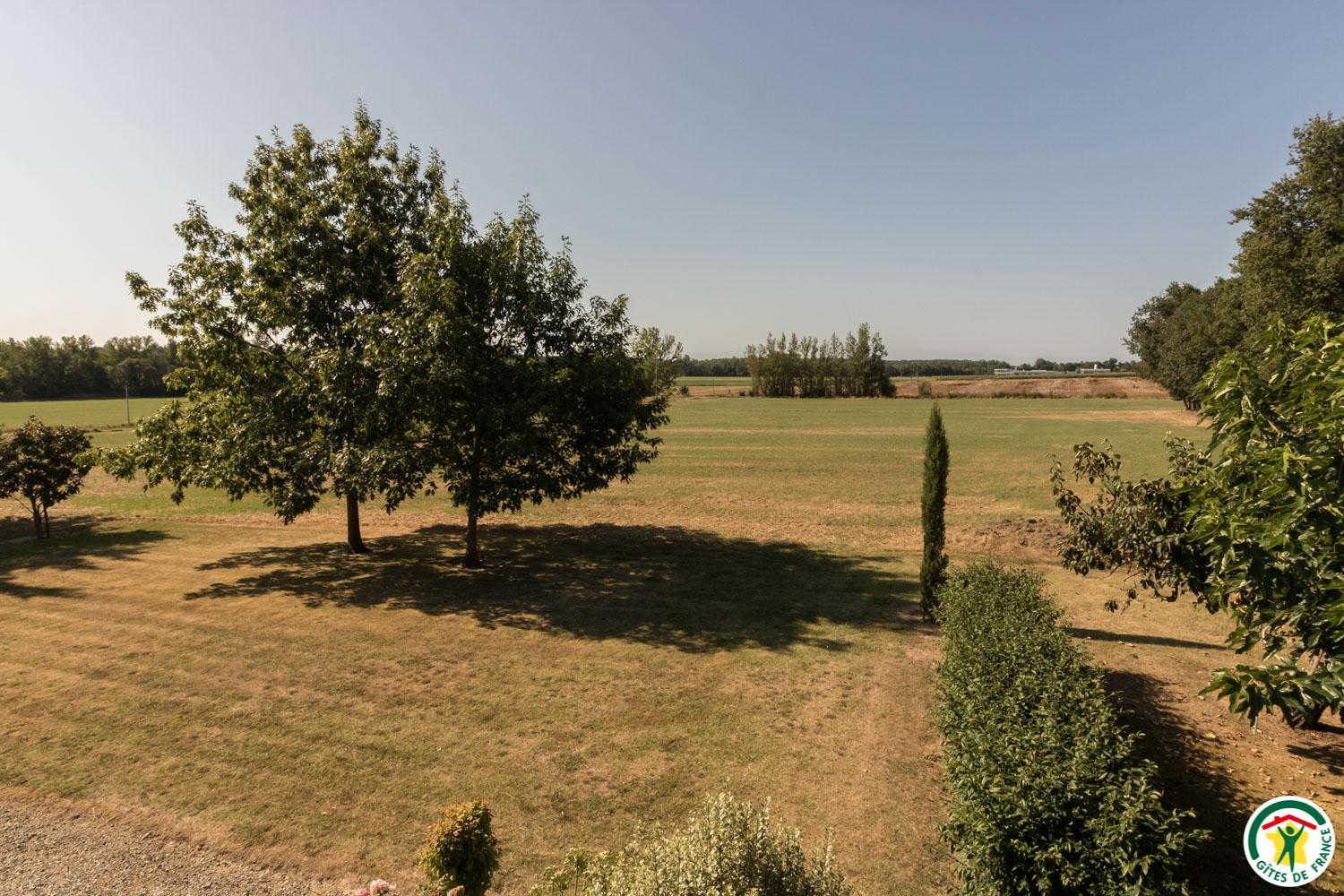 BORDE BASSE, Lherm - photo 370