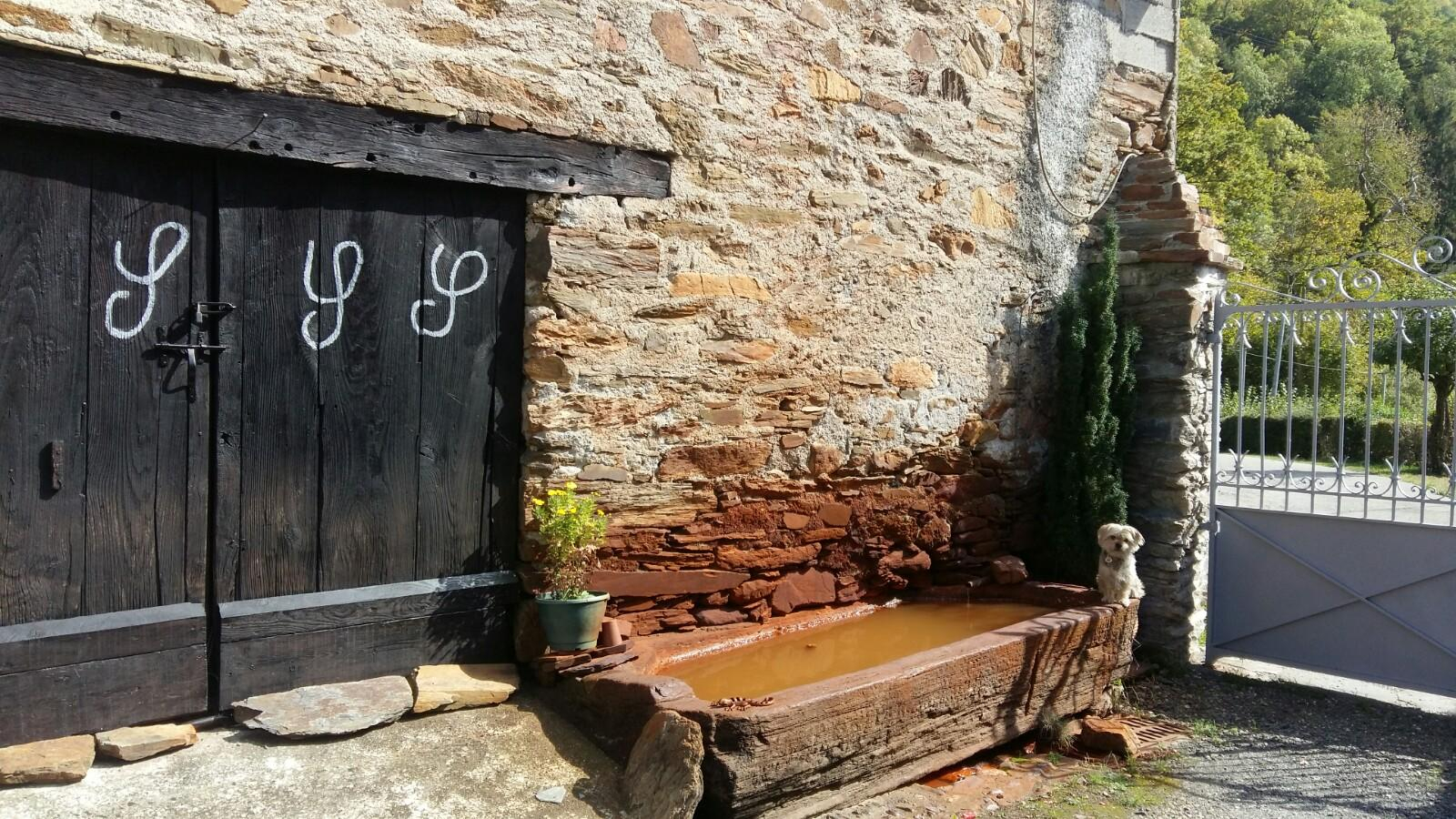 LES NARCISSES, Cier-de-Luchon - photo 126