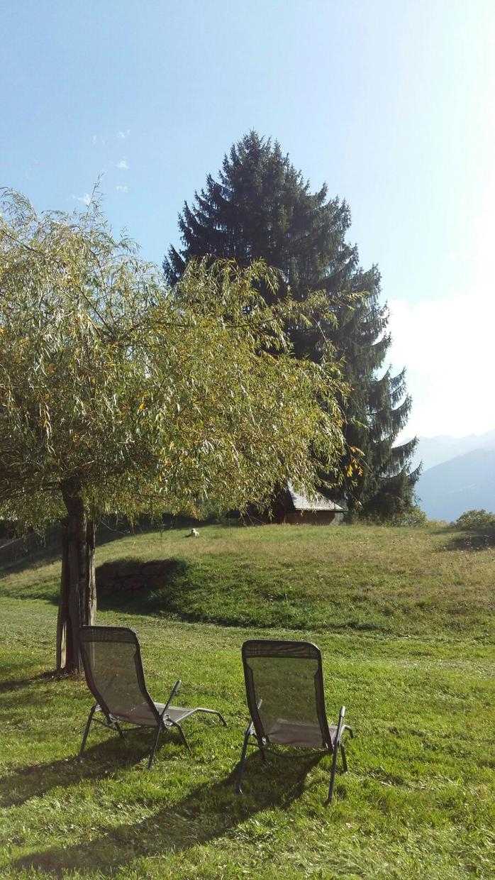 LES NARCISSES, Cier-de-Luchon - photo 137