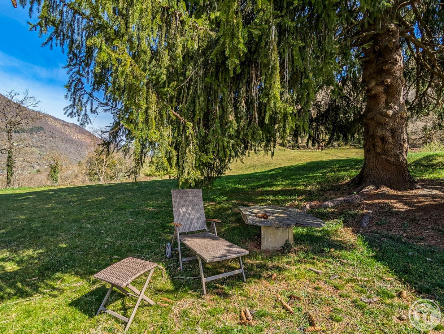 LES NARCISSES, Cier-de-Luchon - photo 152