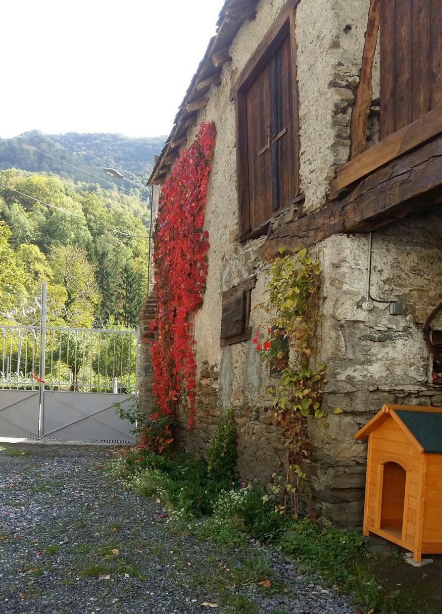 LES NARCISSES, Cier-de-Luchon - photo 136
