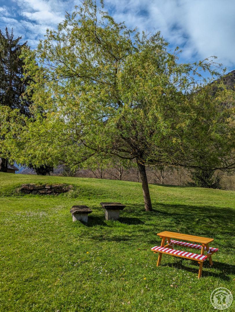 LES NARCISSES, Cier-de-Luchon - photo 129