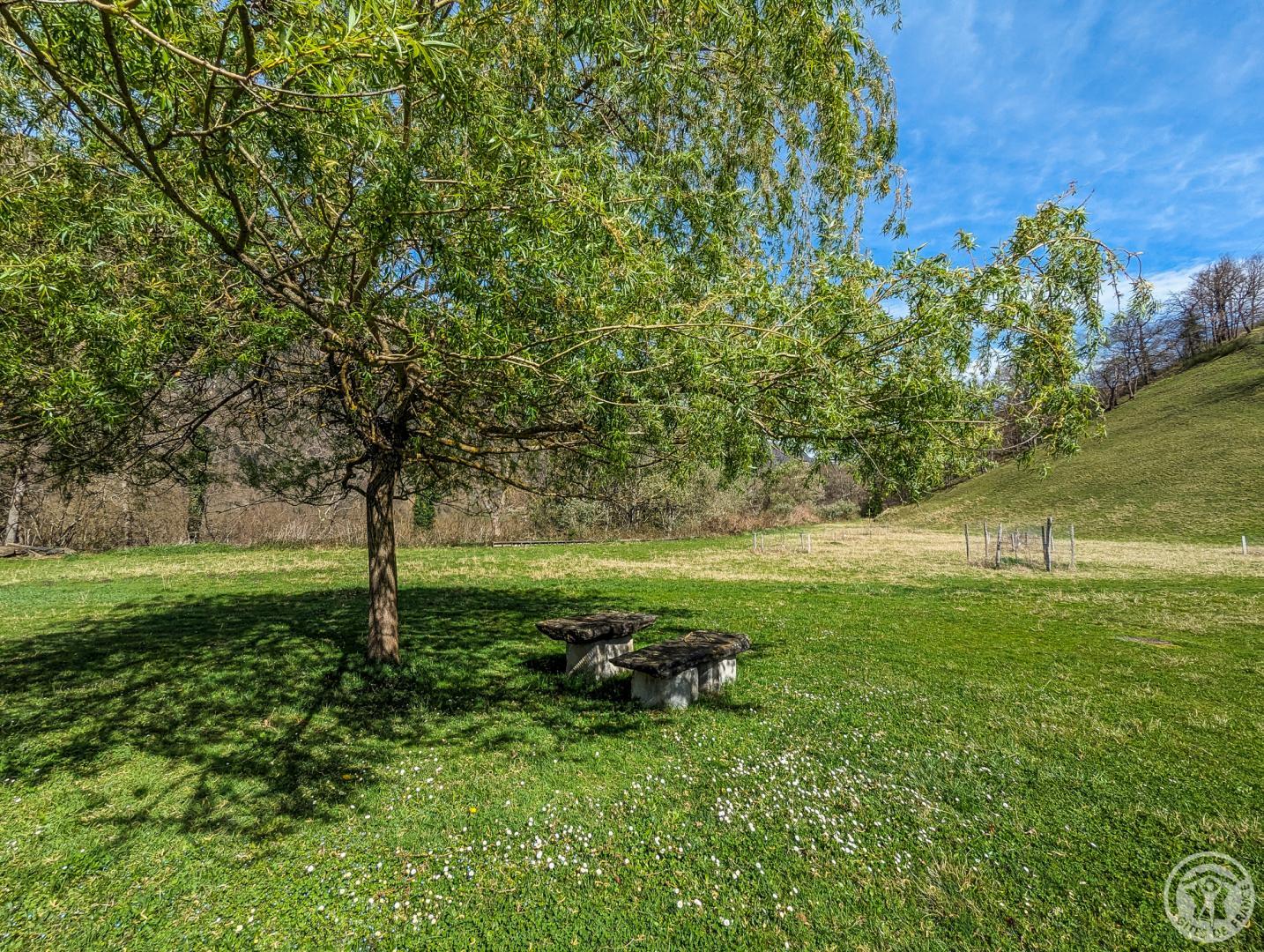 LES NARCISSES, Cier-de-Luchon - photo 141