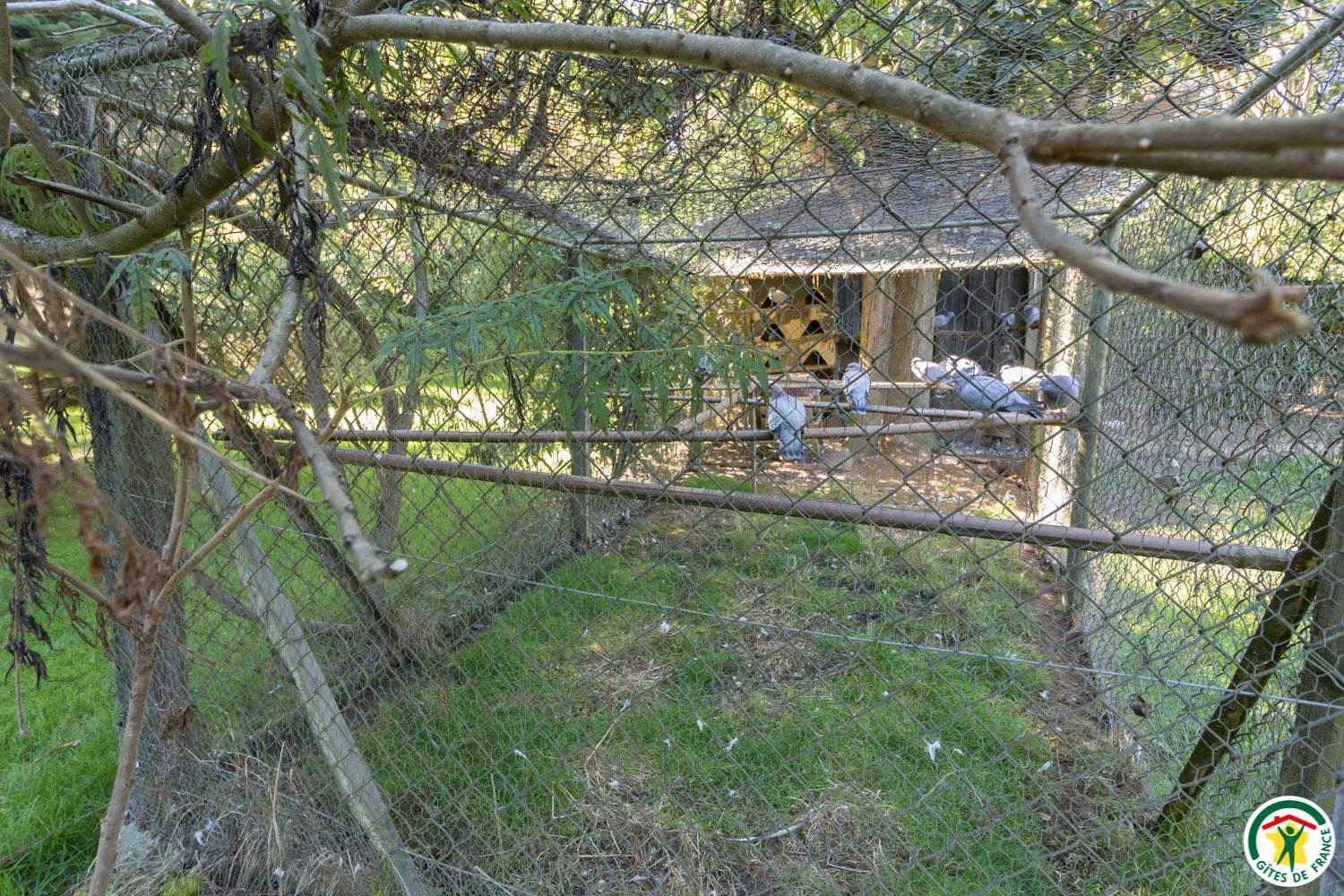LE MOULIN DE CABANIS, Saint-Marcet - photo 286