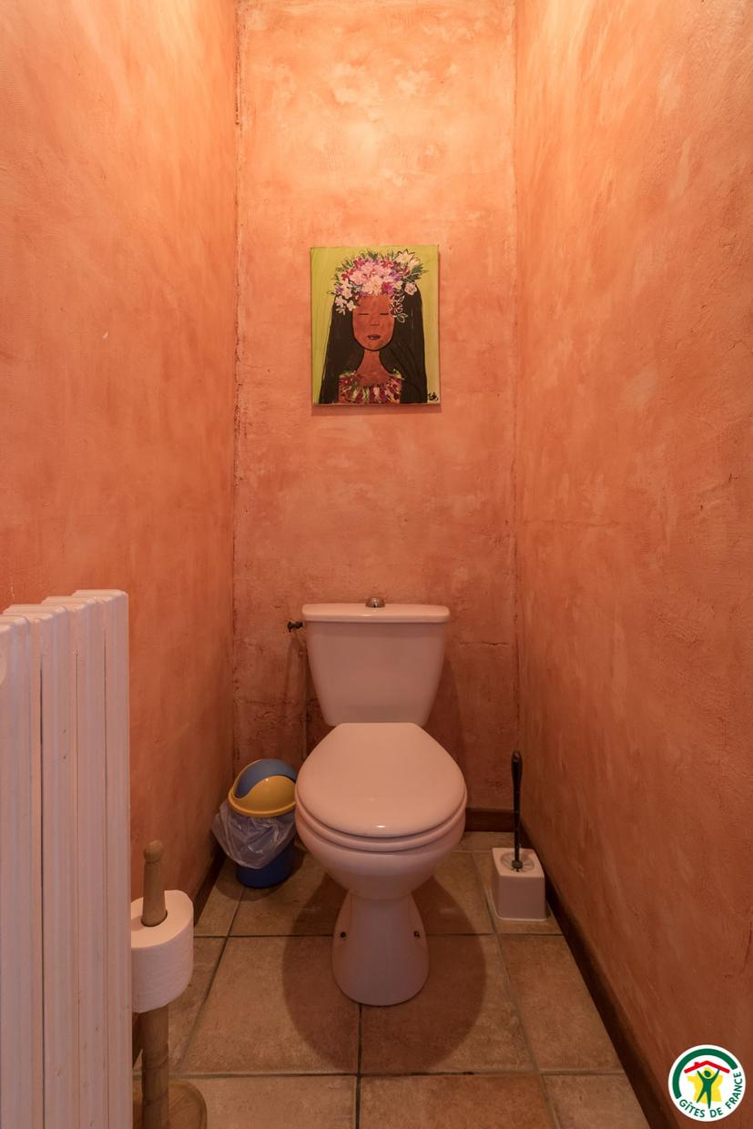LE MOULIN DE CABANIS, Saint-Marcet - photo 262