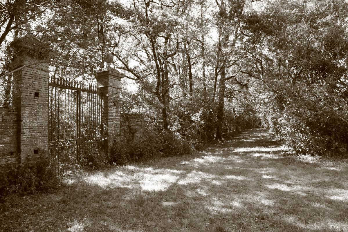 LE CANDELÉ, Saiguède - photo 206