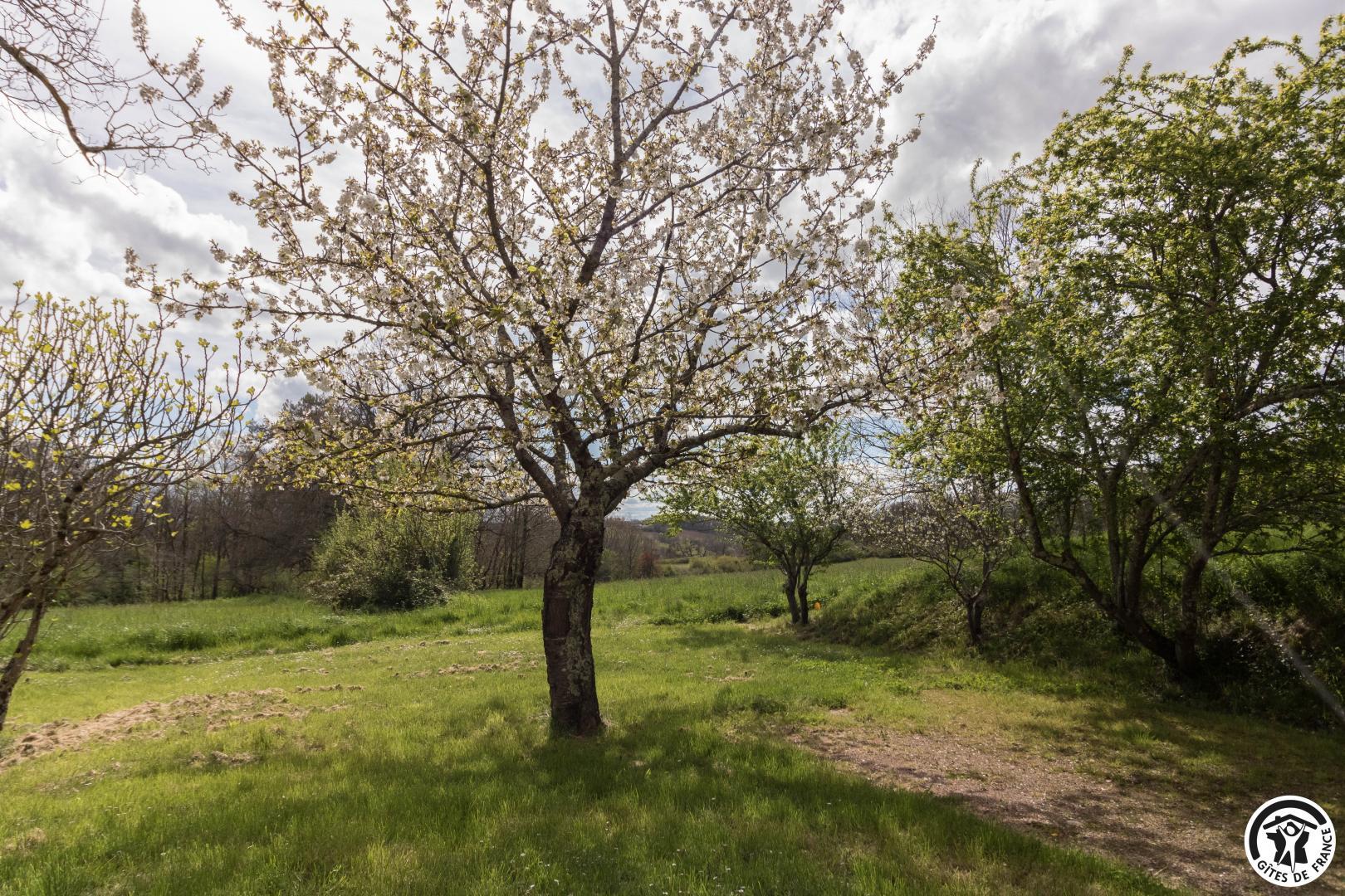 LE CANDELÉ, Saiguède - photo 204
