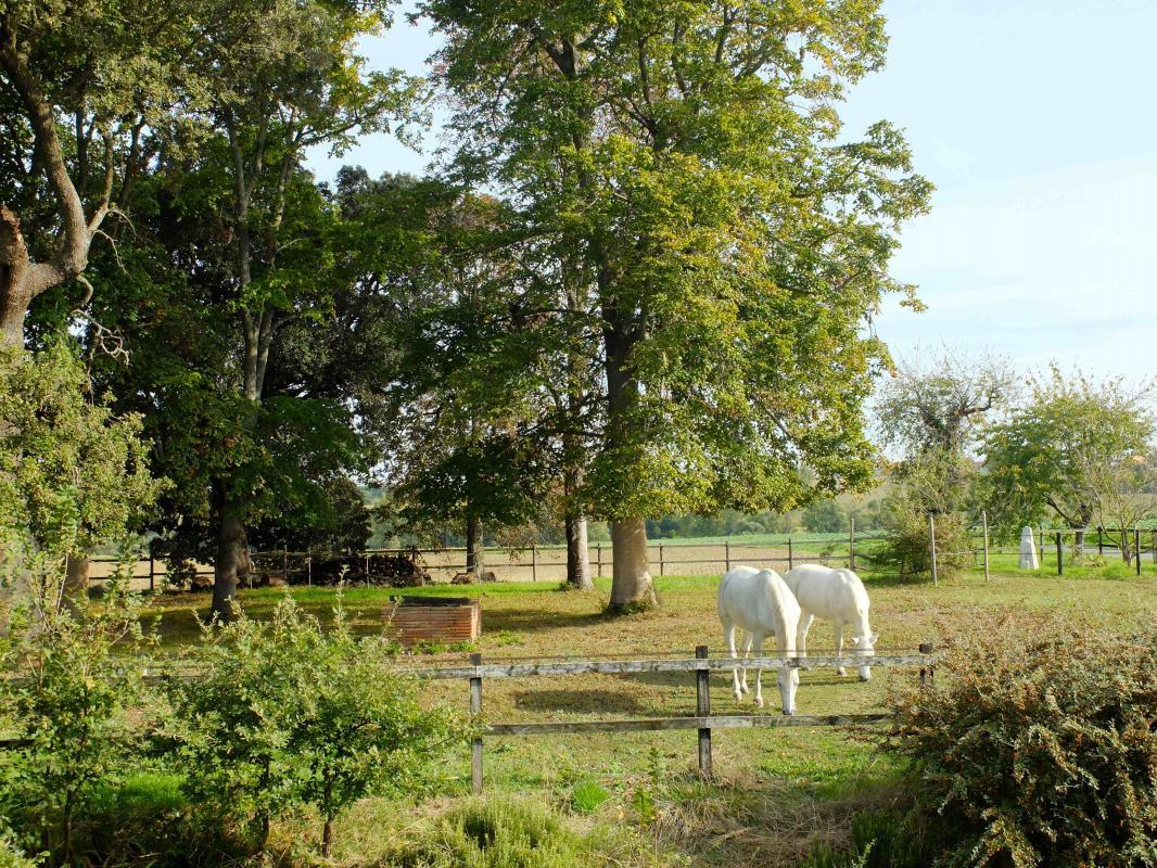 LE CAVALIER, Caraman - photo 281
