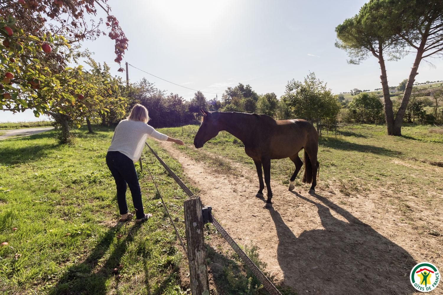 LE CAVALIER, Caraman - photo 279
