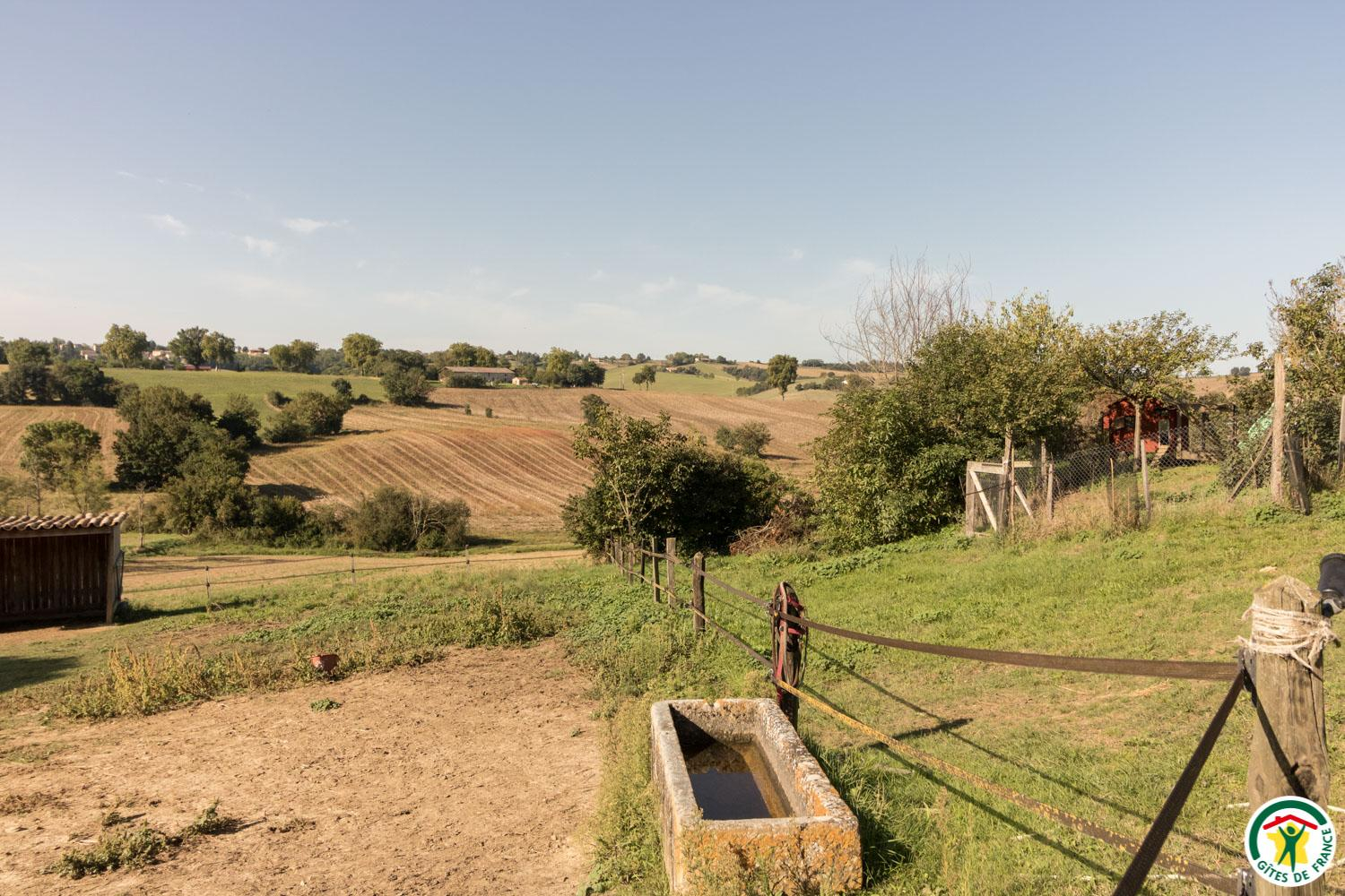 LE CAVALIER, Caraman - photo 264