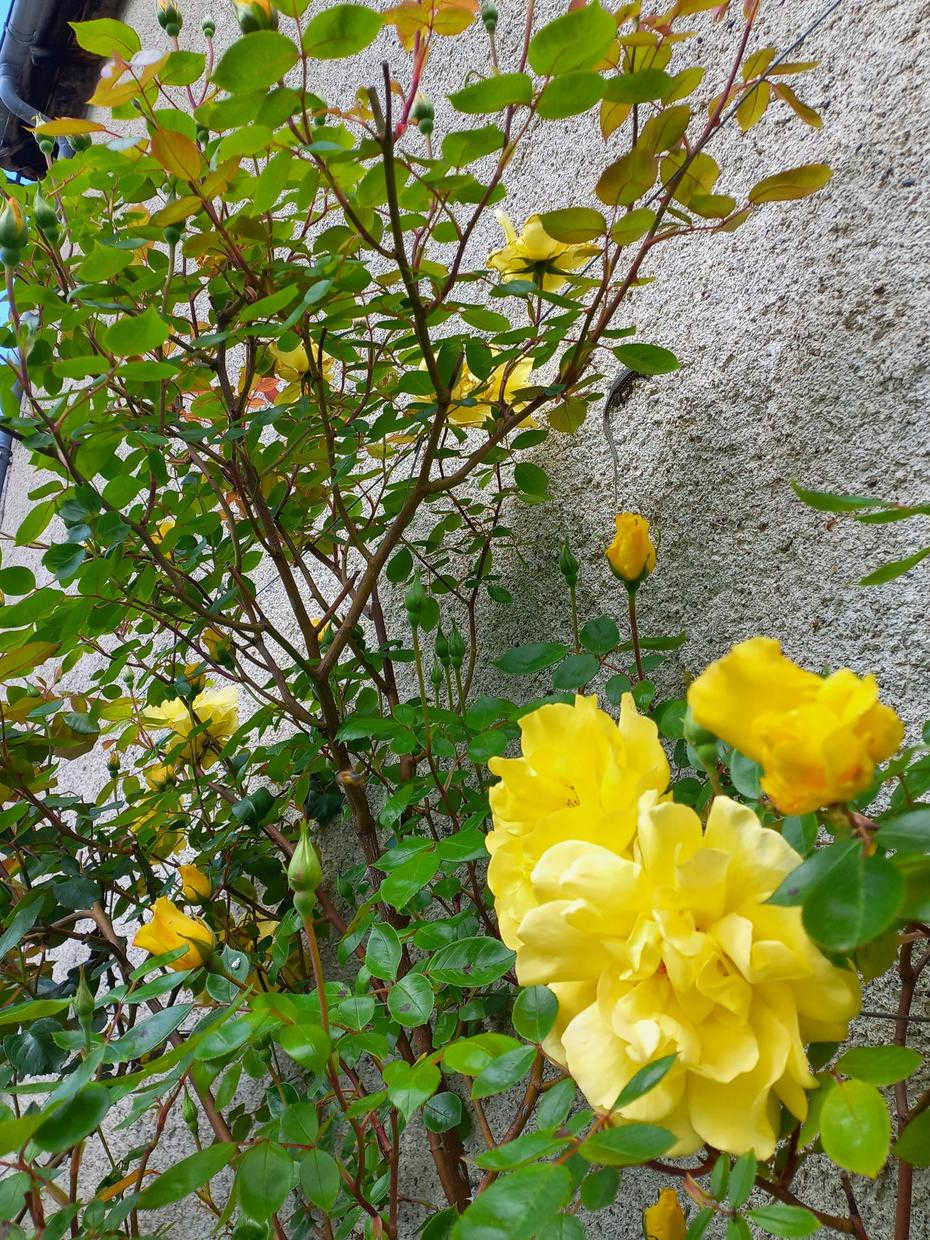 CHEZ PAILHAS, Régades - photo 121